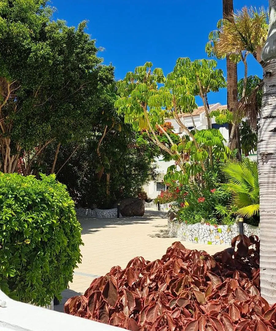 Casa Mika Apartment Costa Del Silencio 0*,  Spain
